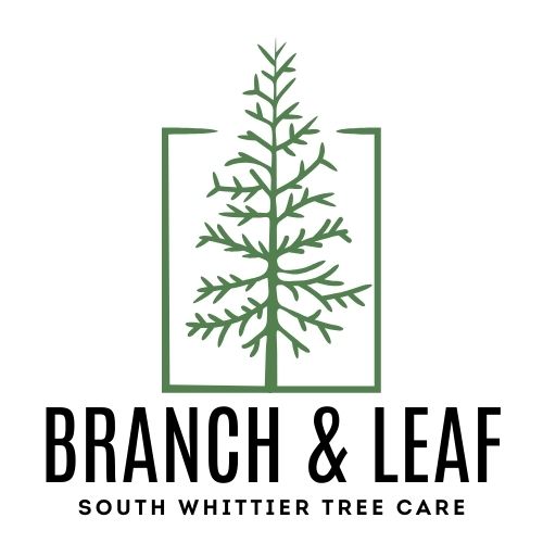 Branch & Leaf South Whittier Tree Care logo