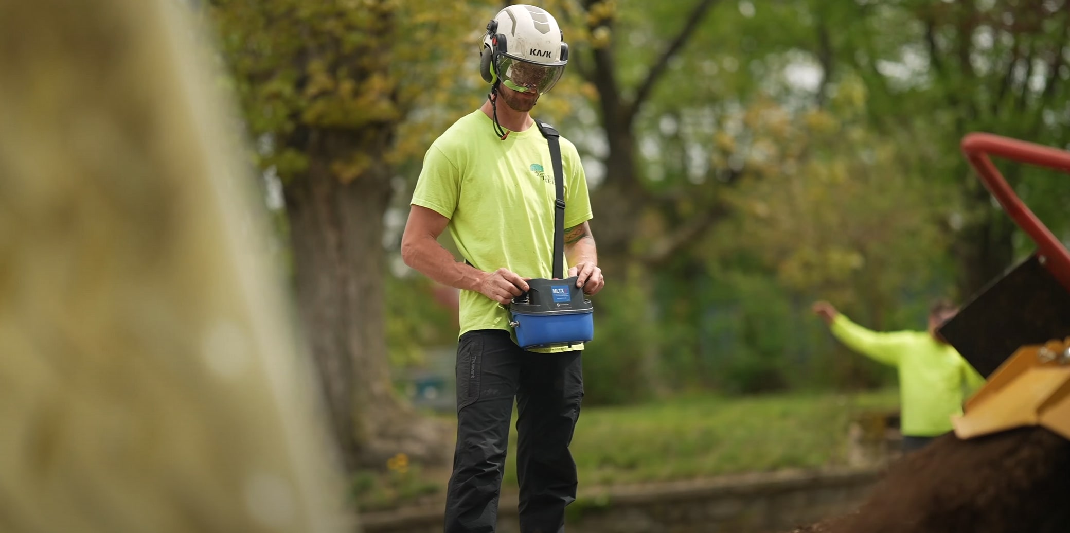 Professional arborist performing seasonal tree pruning in South Whittier, CA