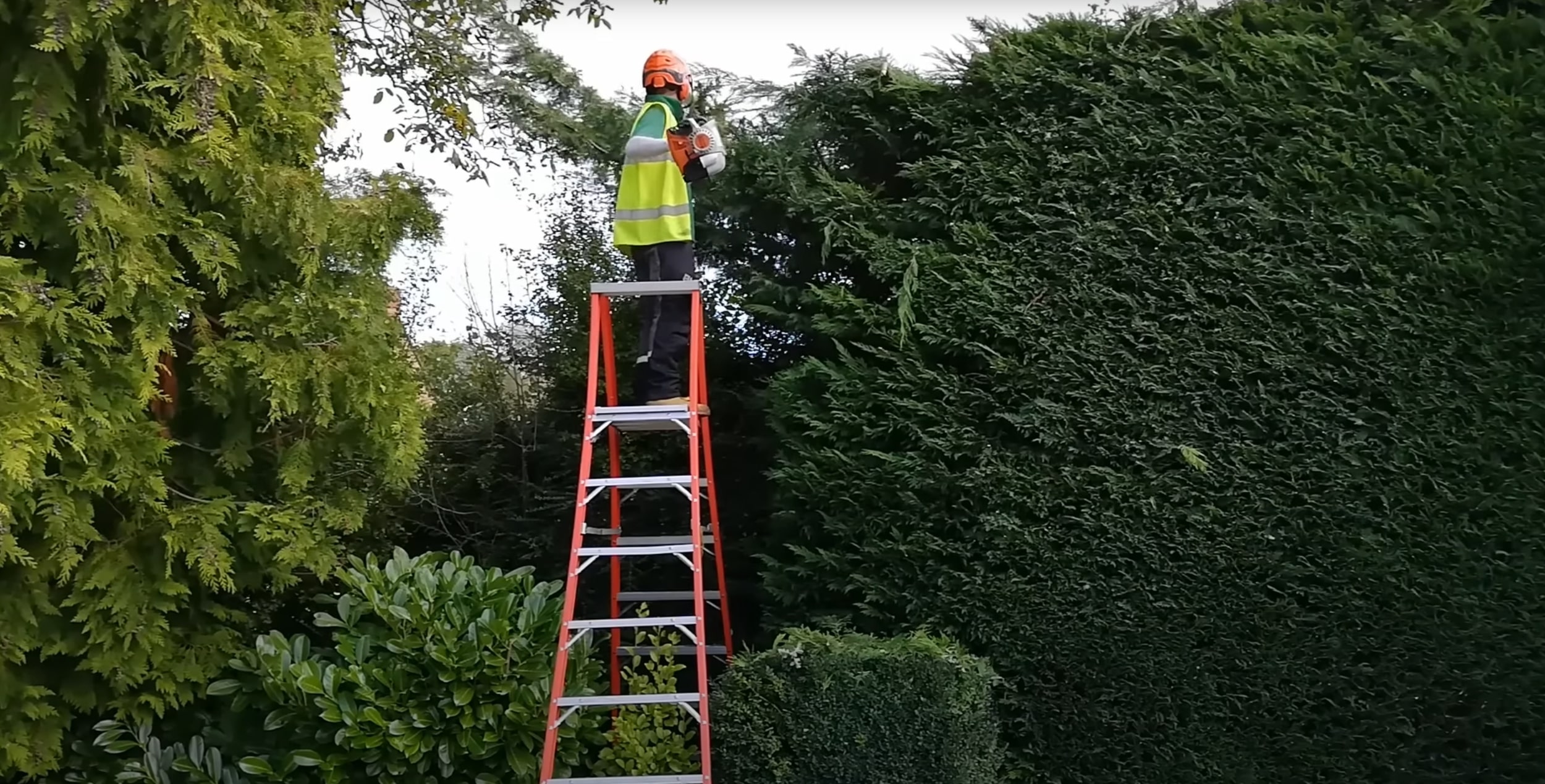Professional tree trimming service ensuring healthy tree growth in South Whittier, CA